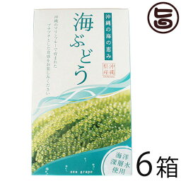 グローアップコーポレーションF 海ぶどう 120g×6箱 海洋深層水使用 海藻 うみぶどう 沖縄 土産 定番 人気