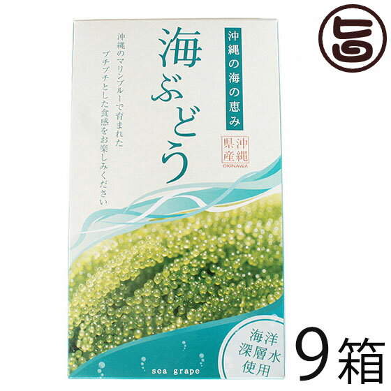 【名称】クビレズタ（沖縄県産） 【内容量】120g×9箱 【賞味期限】約3ヶ月 【原材料】クビレズタ（沖縄県産）、水、食塩、海洋深層水 【保存方法】直射日光及び高熱を避け、常温にて保存※冷蔵庫には絶対に入れないでください。冷やすと萎れてしまします。 【お召上がり方】使う量だけを取り出し、水に浸して塩加減を調整してください。お好みでドレッシングなどにつけてお召し上がりください。（直接ドレッシングなどをかけると、海ぶどう特有のプチプチとした食感が損なわれます）【販売者】株式会社オリーブガーデン（沖縄県国頭郡恩納村） メーカー名 グローアップコーポレーション 原産国名 日本 産地直送 沖縄県 商品説明 沖縄から直送！海ぶどう沖縄のお土産、おつまみといったらコレ！プチプチ食感、鮮やかな半透明の緑色。大人気の海ぶどうです。海ぶどう（クビレズタ）とは、沖縄ブームで注目された海藻の一種。別名：グリーンキャビアともいって茎にぶどうの球状の葉のようなものが密生していることから海ぶどうと名づけられました。独特の歯ごたえを味わうことができ、なんにでもあうので刺身、サラダ、海ぶどう丼にしてお召し上がりください。 安全上のお知らせ ※まれに商品の中に褐色のヨコエビ等が混入している場合がございますが、味・品質などへの影響はございません。水でよく洗い落としてお召し上がりください。ネコポス便で配送予定です着日指定：×不可 ギフト：×不可 ※生産者より産地直送のため、他商品と同梱できません。※納品書・領収書は同梱できません。　領収書発行は注文履歴ページから行えます。 こちらの商品は全国送料無料です