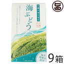 グローアップコーポレーションF 海ぶどう 100g×9箱 海洋深層水使用 海藻 うみぶどう 沖縄 土産 定番 人気