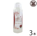 沖縄ウコン販売 ハイビスカス化粧水 100ml×3本 沖縄 土産 人気 化粧水 沖縄産ハイビスカス ローズマリーを使用 無添加