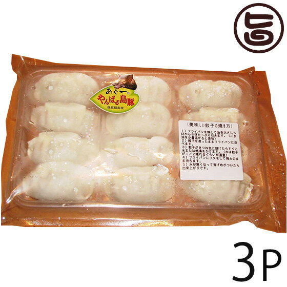 フレッシュミートがなは やんばる島豚あぐー ≪黒豚≫ ギョウザ 240g×3P 沖縄 土産 人気 アグー 豚肉 ジューシー 餃子