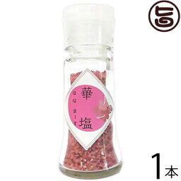 テクノグリーン 琉球華塩 (はなまーす) ピンク 20g×1個 沖縄 土産 人気 調味料 天然塩 シークワーサー 使用