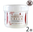 沖縄ウコン販売 ハイビスカス保湿クリーム 100g×2個 沖縄 土産 人気 保湿クリーム ビタミン ミネラル