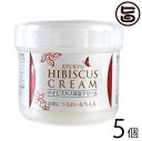 沖縄ウコン販売 ハイビスカス保湿クリーム 100g×5個 沖縄 土産 人気 保湿クリーム ビタミン ミネラル