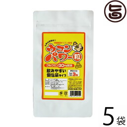 沖縄ウコン堂 ウコンパワー (袋タイプ) 18g(200mg×3粒×30包)×5袋 沖縄 土産 人気 うっちん 鬱金 沖縄県産秋ウコン使用 クルクミン含有