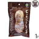 【名称】菓子 【内容量】60g×1袋 【賞味期限】製造日より　半年 ※未開封時 【原材料】落花生 多良間産粗糖 水飴 多良間産黒糖 【保存方法】直射日光・高温多湿を避け常温で保存して下さい。 【お召上がり方】袋から出して、そのままお召し上がりください【JANコード】4957426003190 【販売者】株式会社オリーブガーデン（沖縄県国頭郡恩納村） メーカー名 黒糖本舗垣乃花 原産国名 日本 産地直送 沖縄県 商品説明 濃厚でやさしい甘さの黒糖にクラッシュしたピーナッツをふんだんに加えました。一度食べるとやみつきに！カリッと軽い歯ごたえが楽しいピーナッツクランチ。沖縄多良間産のサトウキビから採れた粗糖と黒糖に水飴をたっぷり加え、クラッシュしたピーナッツをふんだんに混ぜ込み、カリカリ食感に仕上げました。ピーナッツの香ばしい風味と黒糖のやさしい甘さが本当に絶妙なんです！！一度食べるとやみつきになりますよ♪ 安全上のお知らせ 開封後は賞味期限にかかわらずお早目にお召し上がりください。ネコポス便で配送予定です着日指定：×不可 ギフト：×不可 ※生産者より産地直送のため、他商品と同梱できません。※納品書・領収書は同梱できません。　領収書発行は注文履歴ページから行えます。 こちらの商品は全国送料無料です