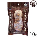 黒糖本舗垣乃花 ピーナッツクランチ 60g 小袋入り×10袋 沖縄 お菓子 個包装 豆菓子 黒糖 ミネラルたっぷりたけしの家庭の医学 ピーナツ..