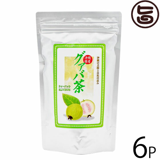 沖縄ウコン販売 グァバ茶 2g×30包×6P