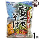 シンコウ 宮古そば (袋) 2食入り×1袋 沖縄 人気 琉球料理 定番 土産 送料無料