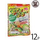 赤マルソウ らくちんちゃんぷるー ゴーヤー 使いきりタイプ75g 15g×5袋入り×12袋 沖縄 土産 人気 調味料 料理の素 だし ご自宅で簡単 沖縄料理の味