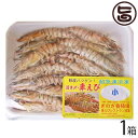 ギフト 急速冷凍 宜野座村産 車えび 活き締め 500g 小(約13cm) 27〜35尾×1箱 ギフト箱入 車海老 沖縄 土産 沖縄土産 人気 希少 贈答用 送料無料