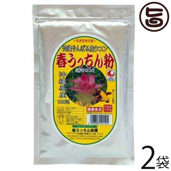 楽天旨いもんハンターうっちん沖縄 【春ウコン】春うっちん粉 アルミ袋入 200g×2袋 沖縄 土産 人気 鬱金 粉末 高品質なウコンを使用 クルクミン