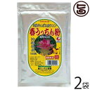 うっちん沖縄 【春ウコン】春うっちん粉 アルミ袋入 200g×2袋 沖縄 土産 人気 鬱金 粉末 高品質なウコンを使用 クルクミン