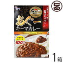 あさひ あぐーキーマカレー220g×1箱 沖縄県産あぐー豚100%使用 贅沢 人気 土産 たけしの家庭の医学 ターメリック クルクミン