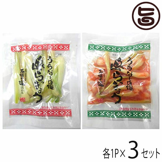 でいごフーズ 沖縄県産 島らっきょう 塩漬け キムチ 各50g 各1P×3セット おすすめ イチオシ おつまみ