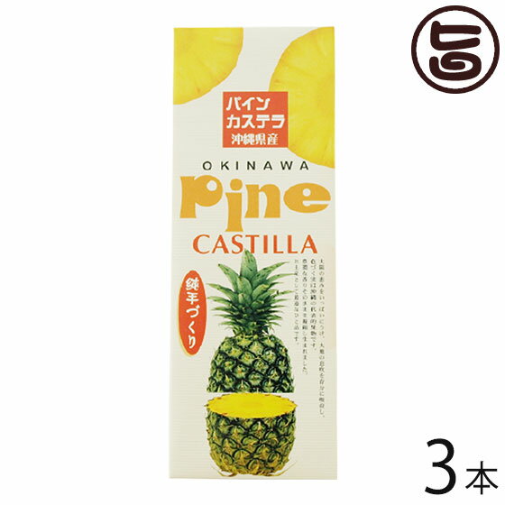 わかまつどう製菓 パインカステラ 3本 沖縄 土産 人気 和菓子 カステラ ご自宅用に お土産に