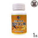 おきなわ晴家 沖縄産秋ウコン粒 200mg×500粒×1本 沖縄 土産 人気 健康食品 沖縄県産秋ウコン使用 クルクミン含有 うっちん 鬱金