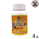 おきなわ晴家 沖縄産秋ウコン粒 200mg×500粒×4本 沖縄 土産 人気 健康食品 沖縄県産秋ウコン使用 クルクミン含有 うっちん 鬱金