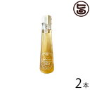 ハワイアングロット 石垣島 ゆきさんのソルティーレモンジンジャーシロップ 120ml×2本 沖縄 人気 土産 シロップ 保存料・防腐剤不使用 冷え性や風邪に お...