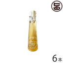 ハワイアングロット 石垣島 ゆきさんのソルティーレモンジンジャーシロップ 120ml×6本 沖縄 人気 土産 シロップ 保存料・防腐剤不使用 冷え性や風邪に お...