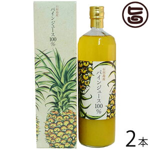 石垣島産 パインジュース 100% 900ml×2本 沖縄 人気 土産 ジュース 沖縄県石垣島産パインアップル使用 トロピカルフルーツ 果汁100％ 無添加・砂糖・保存料・食品添加物不使用 送料無料