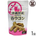 比嘉製茶 沖縄県産 春ウコン粒 90粒入り×1袋 沖縄 人気 定番 土産 健康食品 鬱金 ウッチン