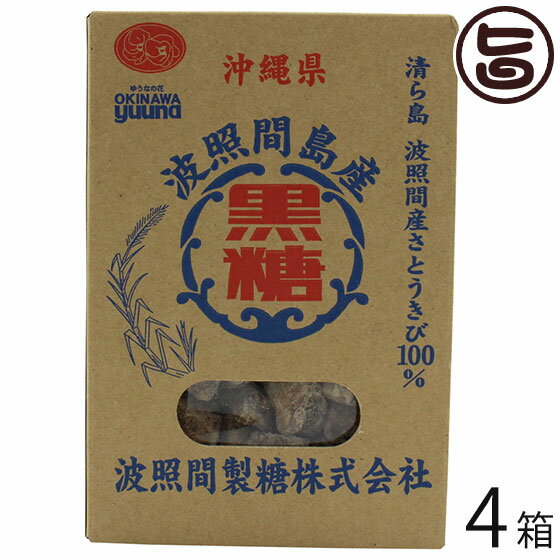 波照間製糖 波照間島産黒糖 250g×4箱 沖縄 人気 定番 土産 黒糖菓子