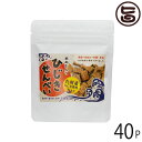 まろうど酒造 ひじきせんべい プレーン 40g×40P 宮崎県 人気 定番 土産 ひじき 米ぬか 栄養強化おやつ