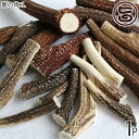 但馬のジビエ ココ鹿 本州鹿の角 Lサイズ×1P 兵庫県 人気 土産 ナチュラルペットフード ストレス解消 カルシウム摂取