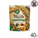 まろうど酒造 米ぬかのお菓子 ライスブランビスコッティ 40g カボチャ あずき×40袋 宮崎県 人気 土産 無添加 菓子