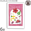 たいら園 シマ茶 さんぴん&ハイビスカス茶 10g(2g×5包)×6袋