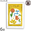 たいら園 シマ茶 さんぴん茶 10g(2g×5包)×6袋