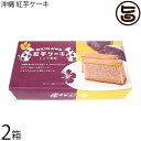 幸栄堂 OKINAWA 紅芋ケーキ ミルク風味 6個入×2箱