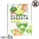 幸栄堂 シークヮーサーシフォンケーキ 小 12粒入×6箱