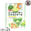 幸栄堂 シークヮーサーシフォンケーキ 小 12粒入×2箱