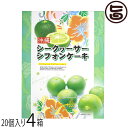 幸栄堂 シークヮーサーシフォンケーキ 大 20粒入×4箱