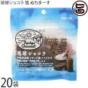 ケンコウフーズ 琉球ショコラ 塩 ぬちまーす 40g×20袋(4)