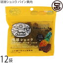 ケンコウフーズ 琉球ショコラ パイン果肉入り 40g×12P 沖縄黒糖 ガーナ産ハイカカオ 72% チャック付き