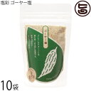 カヨコーポレーション 塩彩 ゴーヤー塩 袋 100g×10袋