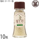 カヨコーポレーション 塩彩 ゴーヤー塩 卓上瓶 20g×10瓶