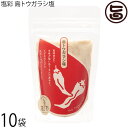 カヨコーポレーション 塩彩 島トウガラシ塩 袋 100g×10P