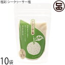 カヨコーポレーション 塩彩 シークヮーサー塩 袋 100g×10P
