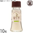 カヨコーポレーション 塩彩 シークヮーサー塩 卓上瓶 20g×10瓶