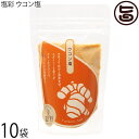 カヨコーポレーション 塩彩 ウコン塩 袋 100g×10P