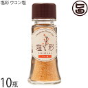 カヨコーポレーション 塩彩 ウコン塩 卓上瓶 20g×10瓶