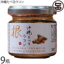 GENESIS FOOD 沖縄たべるウコン 60g×9瓶