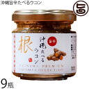 GENESIS FOOD 沖縄旨辛たべるウコン 60g×9瓶
