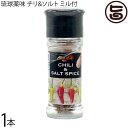 真常 琉球薬味 チリ&ソルト 30g ミル付×1本