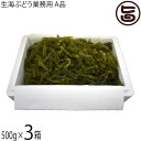 沖縄フレッシュ 海ぶどう業務用 A品 500g×3箱