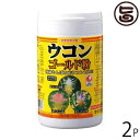 うっちん沖縄 ウコン複合体 ウコンゴールド粉 容器入 150g×2P 沖縄 人気 定番 土産 うこん 鬱金 うっちん 沖縄県産ウコン100%